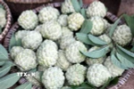 Na Lạng Sơn nổi tiếng với mẫu mã đẹp, vị ngọt thanh mát, cùi dầy ít hạt, hàm lượng dinh dưỡng cao. (Ảnh: Văn Đạt/TTXVN)