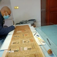 Chuyên gia Phòng thí nghiệm Bảo tồn Giấy cói của bảo tàng đang phục chế cuộn giấy cói của người ghi chép User-Hat-Mes. (Ảnh: TTXVN phát)