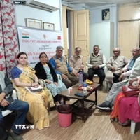 Các thành viên IVSC tham dự hội thảo. (Ảnh do IVSC cung cấp)