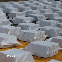 (Ảnh minh họa. AFP/TTXVN)