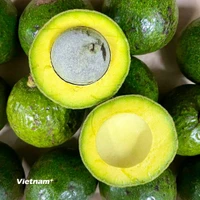 Quả bơ. (Nguồn: Vietnam+)