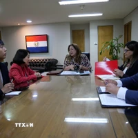 Đại sứ Ngô Minh Nguyệt và Tổng Vụ trưởng Chính sách Đa phương trực thuộc Bộ Ngoại giao Paraguay Nimia Da Silva Boschert trao đổi các biện pháp thúc đẩy hơn nữa quan hệ hợp tác chính trị, kinh tế và thương mại giữa hai nước, đặc biệt tại các diễn đàn đa phương và khu vực như Liên hợp quốc và Mercosur. (Ảnh: Diệu Hương/TTXVN)