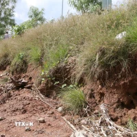 Từ đầu năm 2025 đến nay xảy ra 6 điểm sạt lở với chiều dài trên 350m, trong đó có 4 điểm sạt lở nghiêm trọng. (Ảnh: Tuấn Phi/TTXVN)