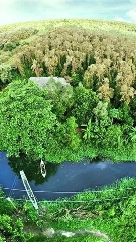 Carbon rừng. (Nguồn ảnh: Cục Viễn thám quốc gia)