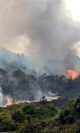 Cháy rừng. (Ảnh minh họa. Nguồn ảnh: TTXVN)