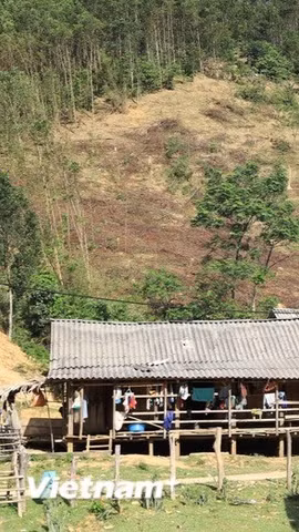 Hỗ trợ đất ở và nhà ở cho đồng bào dân tộc thiểu số theo quy định mới. (Nguồn ảnh: Vietnam+)