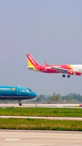 Máy bay của các hãng hàng không cất, hạ cánh tại một sân bay nước ta. (Ảnh: Việt Hùng/Vietnam+)