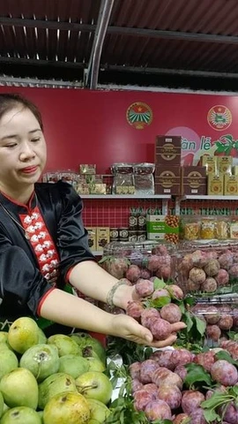 Các chương trình kết nối tiêu thụ nông sản đã tạo ra sức hấp dẫn với người tiêu dùng Thủ đô. (Ảnh: Đức Duy/Vietnam+)