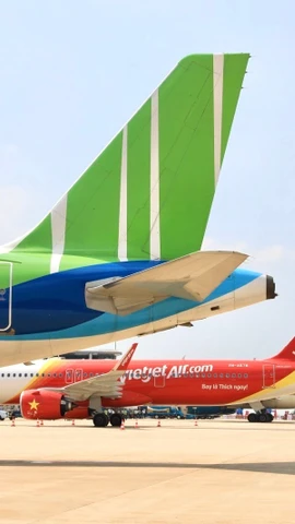 Máy bay của các hãng hàng không tại Cảng Hàng không quốc tế Nội Bài. (Ảnh: PV/Vietnam+)