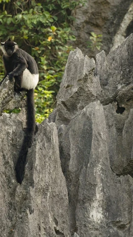 Ảnh minh họa. (Ảnh: FFI)