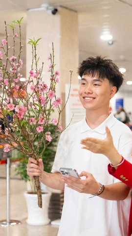 Vietjet Air nhận vận chuyển mai, đào dịp Tết Nguyên đán 2026. (Ảnh: PV/Vietnam+)