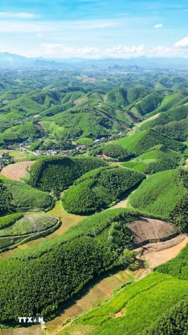 Bảo vệ môi trường, ứng phó với biến đổi khí hậu và bảo tồn đa dạng sinh học là yêu cầu gắn liền với phát triển kinh tế – xã hội, không thể tách rời hay xem nhẹ. (Ảnh: Lê Đông/TTXVN)