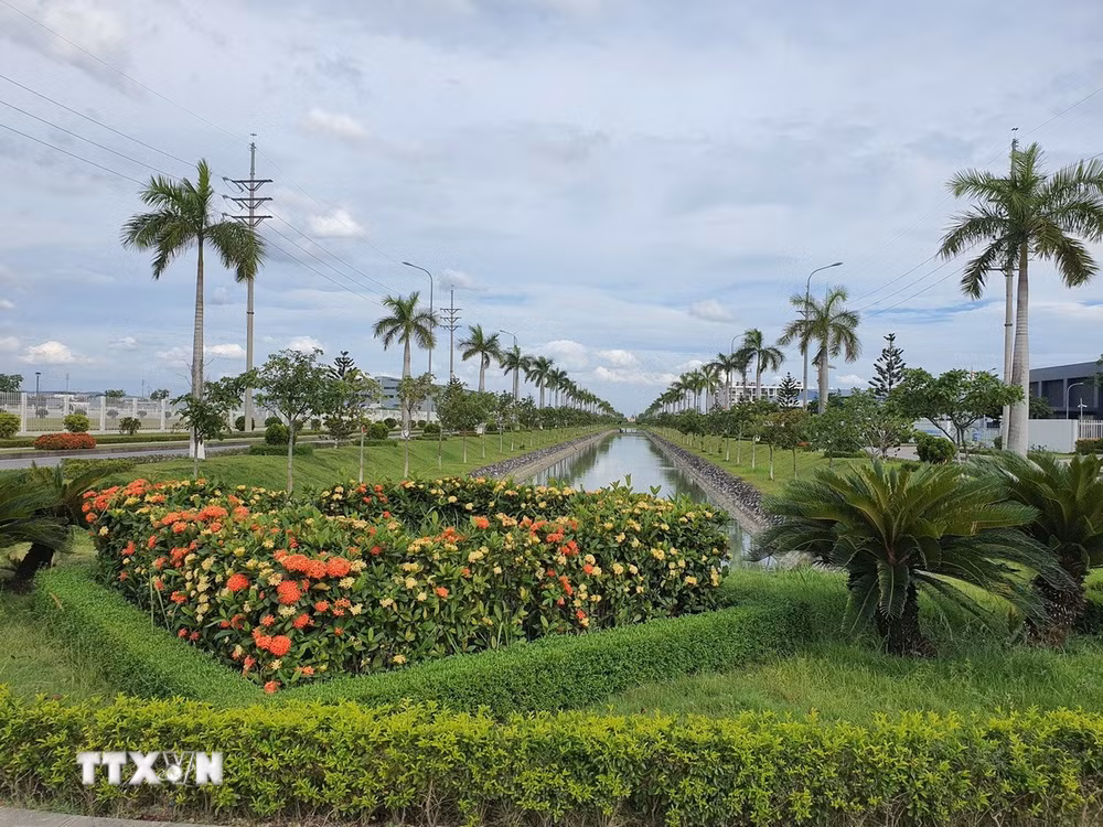 ttxvn-cong-vien-cay-xanh.jpg