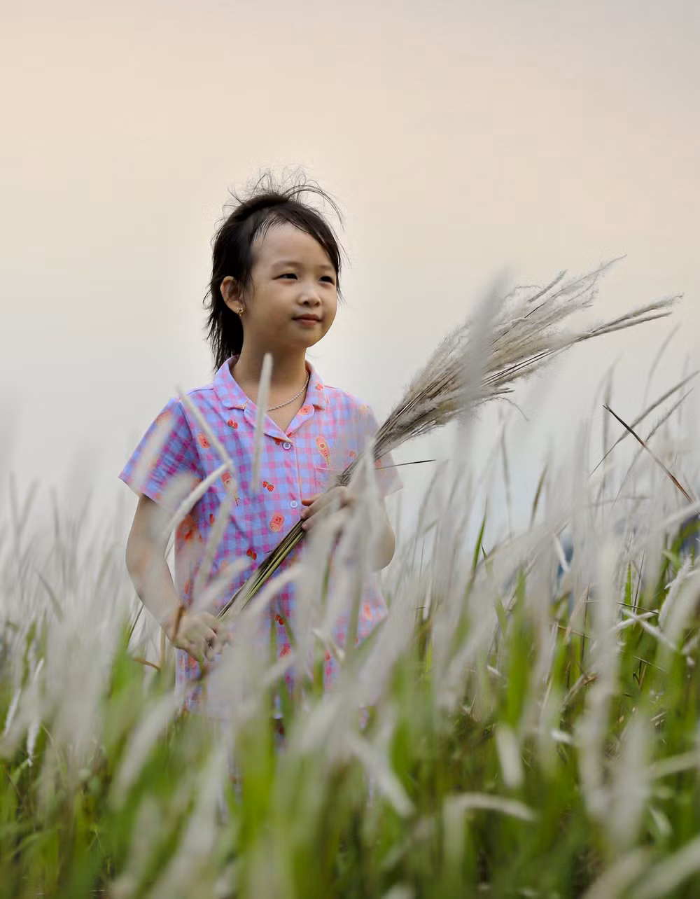 dien-bien-doi-co-tranh-2.jpg
