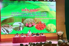 Diễn đàn Khuyến nông @ liên kết sản xuất và tiêu thụ sản phẩm nông nghiệp được tổ chức tại huyện Mê Linh, Hà Nội. (Ảnh: PV/Vietnam+)