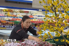 Người dân lựa chọn hàng hóa tại các siêu thị. (Ảnh: Đinh Hương/TTXVN)