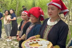 Nhiều lớp đào tạo nghề ưu tiên phụ nữ nghèo, phụ nữ dân tộc thiểu số đã giúp họ chủ động hơn trong việc tìm kiếm sinh kế, tăng thu nhập và khẳng định vai trò trong gia đình, cộng đồng. (Ảnh: PV/Vietnam+)