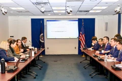 Thứ trưởng Bộ Công Thương, Phó Trưởng Đoàn đàm phán Chính phủ Nguyễn Sinh Nhật Tân làm việc với phía Mỹ trong phiên đàm phán kỹ thuật. (Ảnh: BCT/Vietnam+)