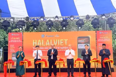 (Ảnh: PV/Vietnam+)