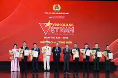Trao Biểu trưng Vinh quang Việt Nam cho 8 tập thể được vinh danh. (Ảnh: PV/Vietnam+)