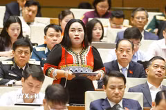 Đại biểu Quốc hội tỉnh Khánh Hòa Chamaléa Thị Thủy phát biểu tại Quốc hội sáng ngày 21/4. (Ảnh: Doãn Tấn/TTXVN)