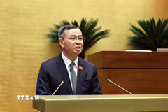 Bộ trưởng Bộ Tài chính Ngô Văn Tuấn trình bày Tờ trình về dự án Luật sửa đổi, bổ sung một số điều của Luật Thuế thu nhập cá nhân, Luật Thuế giá trị gia tăng, Luật Thuế thu nhập doanh nghiệp và Luật Thuế tiêu thụ đặc biệt. (Ảnh: An Đăng/TTXVN)