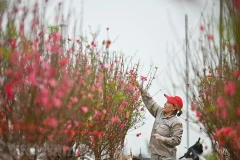 Quà Xuân của Đảng, Nhà nước đến sớm với nhiều đối tượng chính sách. (Ảnh minh họa: PV/Vietnam+)