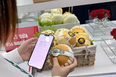 Người tiêu dùng quét mã để truy xuất nguồn gốc của sản phẩm. (Ảnh: PV/Vietnam+)