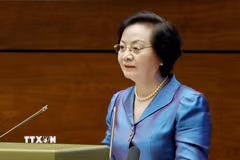 Phó Thủ tướng Chính phủ Phạm Thị Thanh Trà. (Ảnh: Phương Hoa/TTXVN)