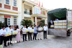 Báo chí ghi lại những hình ảnh Bưởi Soi Hà, huyện Yên Sơn, Tuyên Quang được xuất khẩu sang thị trường Vương quốc Anh. (Ảnh: Hoàng Hải/ TTXVN)