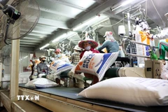 Dây chuyền đóng bao gạo xuất khẩu tại tỉnh An Giang. (Ảnh: Hồng Đạt/TTXVN)
