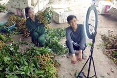 Nông dân Hợp tác xã Dịch vụ Nông nghiệp Ngoan Hậu, xã Chiềng Khương, huyện Sông Mã (Sơn La) đẩy mạnh quảng bá, kết nối tiêu thụ nông sản qua các trang mạng. (Ảnh: Quang Quyết/TTXVN)