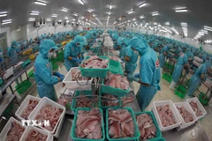 Chế biến cá tra xuất khẩu tại nhà máy của tập đoàn Sao Mai (An Giang). (Ảnh: Vũ Sinh/TTXVN)