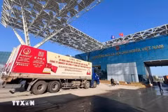 Đối với tài liệu đánh giá rủi ro các sản phẩm liên quan đến Lệnh 280 của Trung Quốc, sản phẩm phải có thư giới thiệu chính thức của cơ quan có thẩm quyền khi đăng ký mã doanh nghiệp. (Ảnh: TTXVN)