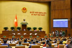 Quốc hội thông qua một số luật và nghị quyết quan trọng. (Ảnh: TTXVN)