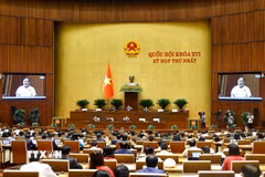 Quang cảnh phiên họp Quốc hội sáng 23/4. (Ảnh: Doãn Tấn/TTXVN)