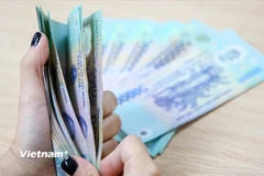Chính phủ quy định mức lương tối thiểu tại 4 vùng đối với người lao động làm việc theo hợp đồng lao động theo Nghị định số 74/2024/NĐ-CP. (Ảnh: PV/Vietnam+)