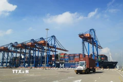 Xe chở container hoạt động trên cảng quốc tế Gemalink thuộc hệ thống Cảng biển Cái Mép (phường Tân Phước). Ảnh: Hồng Đạt - TTXVN