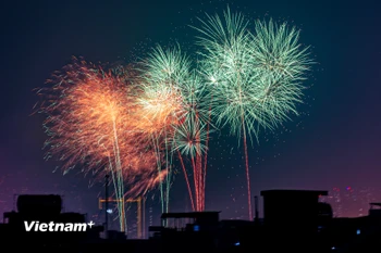 Ảnh minh họa. (Nguồn: Vietnam+)