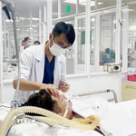 Bác sỹ Bệnh viện Quân y 175, Thành phố Hồ Chí Minh điều trị cho bệnh nhân sốt xuất huyết nặng. (Ảnh: TTXVN/Vietnam+)