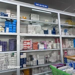 Các đơn vị cần đánh giá khả năng cung ứng của các nhà cung cấp và xây dựng phương án dự trữ phù hợp. (Ảnh: T.G/Vietnam+)