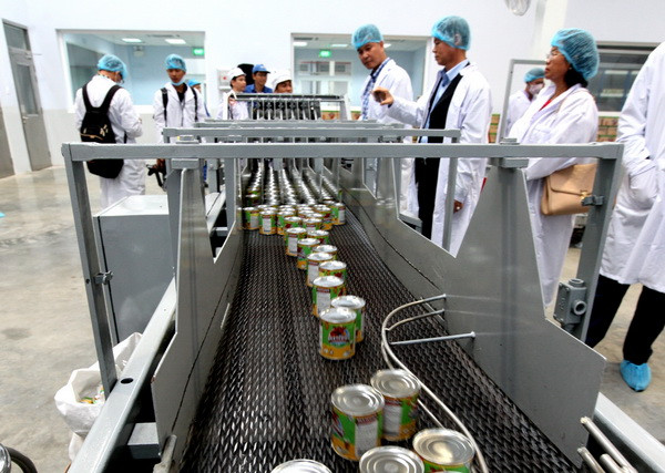 Hành trình 40 năm của những lon sữa đặc nhãn hiệu Ông Thọ ảnh 1