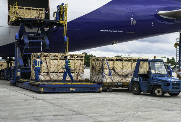 Vinamilk tiếp tục đưa đàn bò sữa Organic về Việt Nam ảnh 1