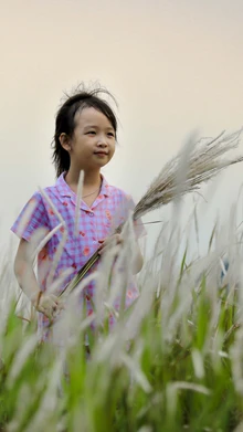 Đồi cỏ tranh ngút ngàn ở xã vùng cao Pu Nhi