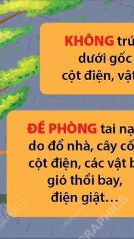 Ứng phó với bão số 3: Các biện pháp phòng tránh khi bão đổ bộ