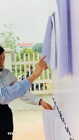 Rà soát danh sách cử tri tại khu vực bỏ phiếu ở Tuyên Quang. (Ảnh: TTXVN phát)