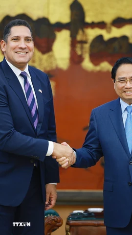 Thủ tướng Phạm Minh Chính tiếp ông Johan Ndisi, Đại sứ Vương quốc Thụy Điển tại Việt Nam. (Ảnh: Dương Giang/TTXVN)