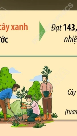 Hơn 1,4 tỷ cây xanh đã được trồng trong vòng 5 năm qua