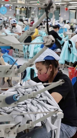 Công nhân tại một công ty may. (Nguồn: TTXVN)