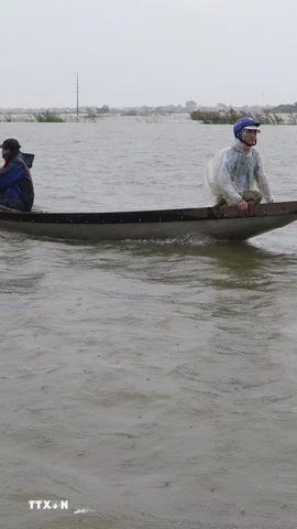 Việc đi lại giữa xã Quảng Điền và phường Kim Trà, thành phố Huế phải dùng thuyền, do lũ sông Bồ dâng cao gây ngập lụt ngày 17/11. (Ảnh: Nguyên Lý/TTXVN)